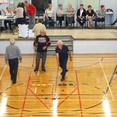 Shuffleboard