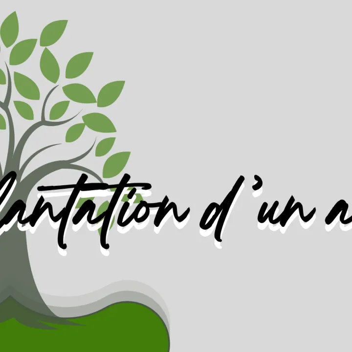 Plantons un arbre