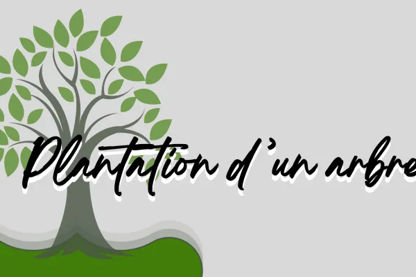Plantons un arbre